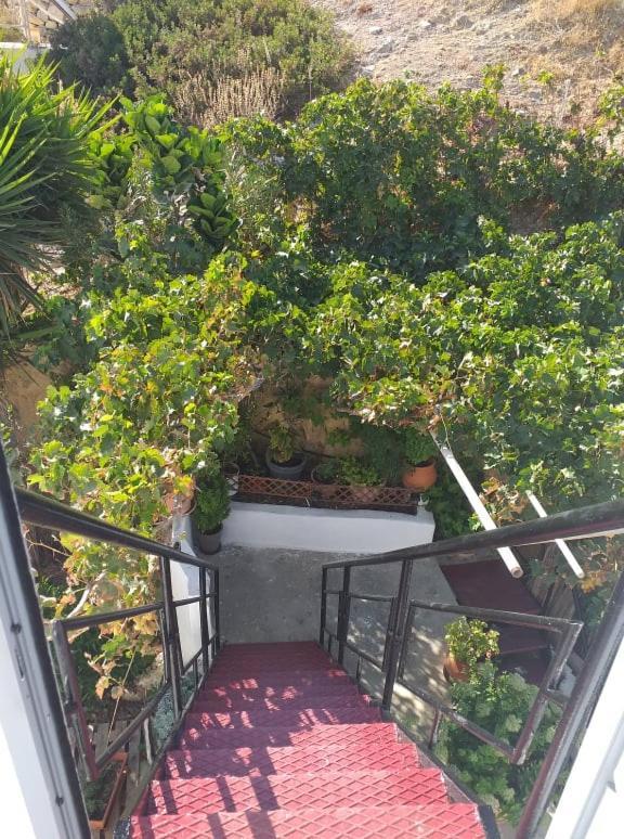 Alexandra'S House Daire Matala Dış mekan fotoğraf